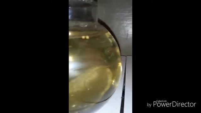 Optimum fish food best смотреть онлайн