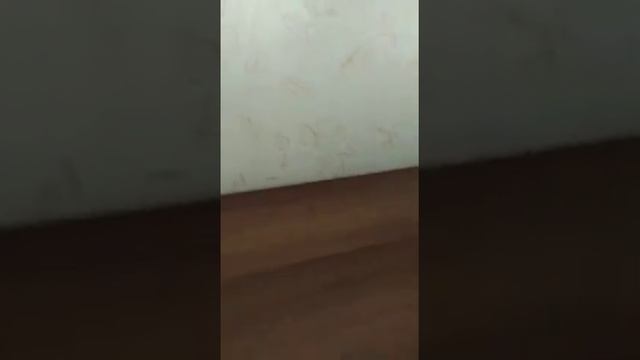 ВАРЕЖКА УЮТ КОМПАНИИ ГРИНВЕЙ смотреть онлайн