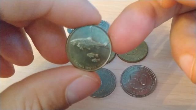 Регулярные монеты стран мира.  Словения 1991 - 2006   Regular Coins Of Slovenia