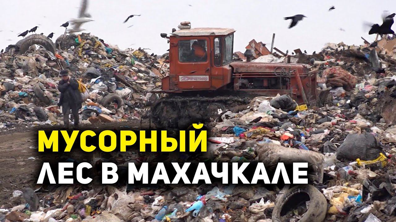Борьба с мусором в Дагестане смотреть онлайн