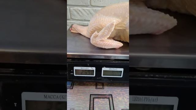 вес тушки на 47 сутки смотреть онлайн
