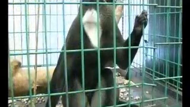 Выставка "Чудеса природы" в г. Мелитополь смотреть онлайн