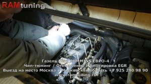 Газель 2.8 Камминс евро-4: отключение ЕГР и сажевого фильтра