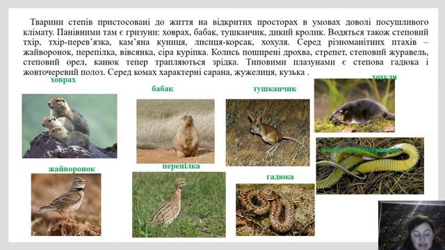 Тваринний світ України смотреть онлайн