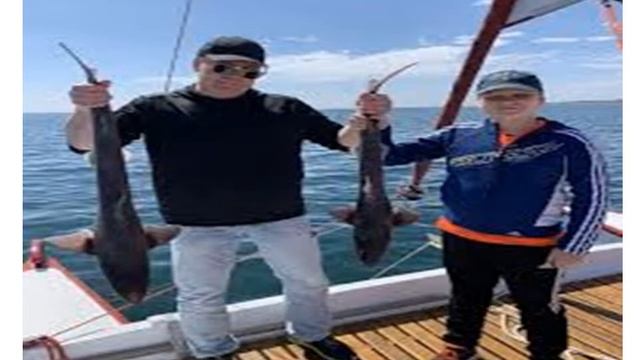 7 Население субтропиков смотреть онлайн