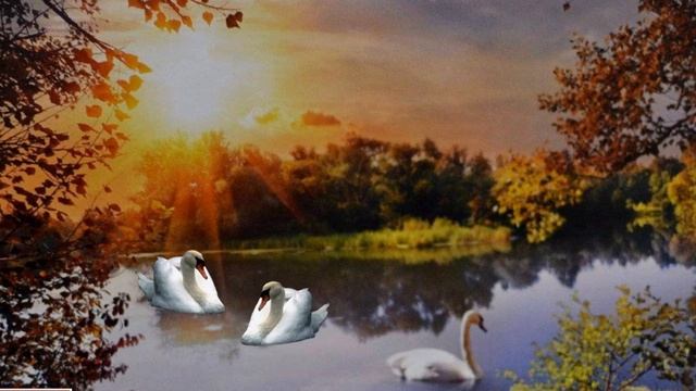 Лебеди летят смотреть онлайн