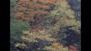 Музыка к фильму "Сказка о звездном мальчике"