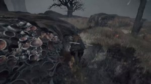 Elden Ring гайд ГДЕ НАЙТИ пепел войны ПОСТУПЬ ИЩЕЙКИ