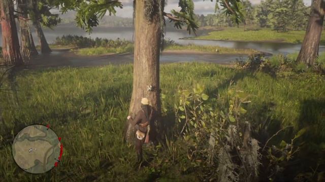 Acuna Star Orchid Location, Cigar Orchid, Ghost Orchid RED DEAD REDEMPTION 2