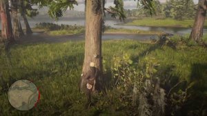 Acuna Star Orchid Location, Cigar Orchid, Ghost Orchid RED DEAD REDEMPTION 2