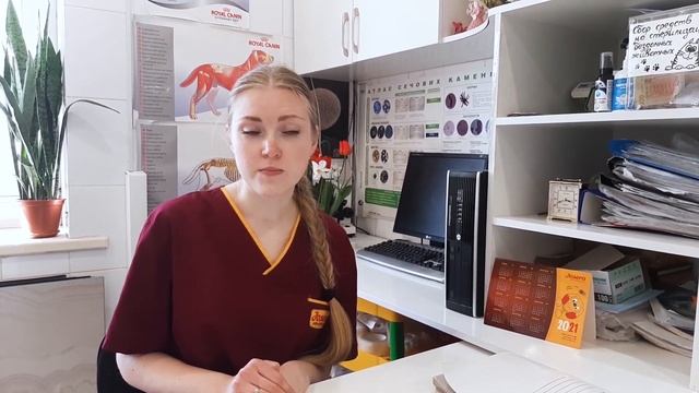 АЛЛЕРГИЯ У СОБАК И КОШЕК - Симптомы Признаки Лечение. Советы Ветеринарного Врача.