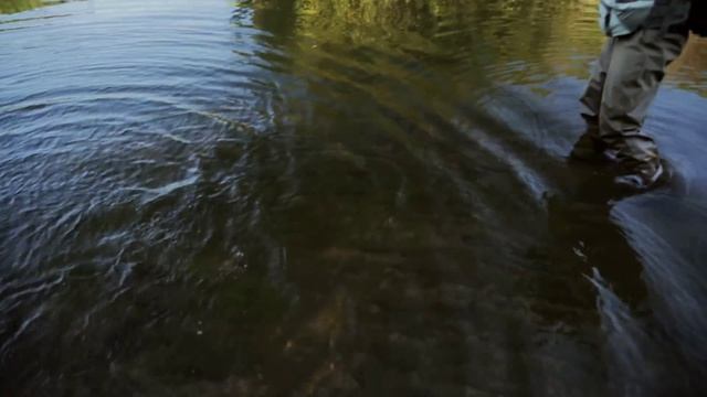 Лучшая рыбалка года. смотреть онлайн