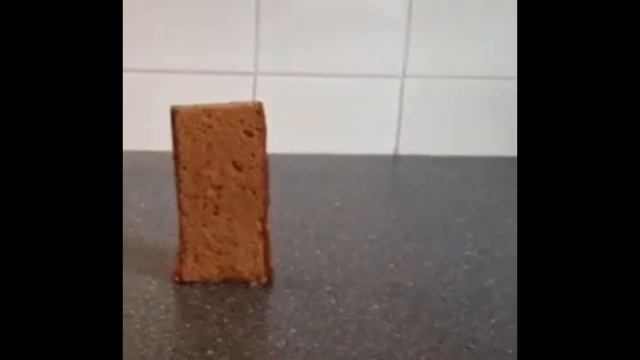 Эври Дэй Ам Шофалин - ОТКУДА МЕМ? // Наггетс и Земля поют смотреть онлайн