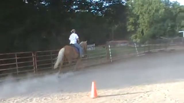 Cookes Top Mongoose English 2011 смотреть онлайн