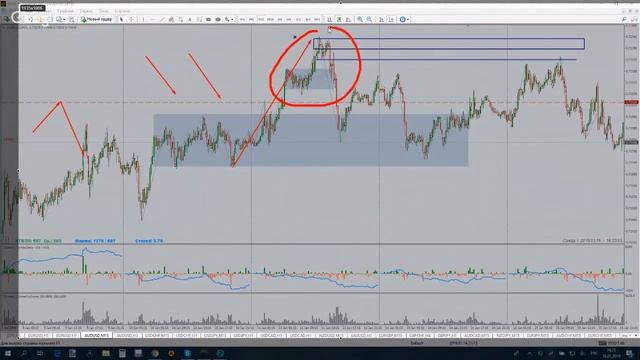 Рекомендации по торгам и полезные советы 16.01.2019 смотреть онлайн