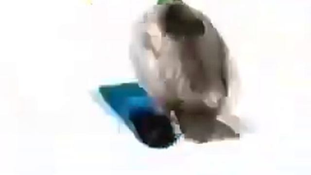 Видео поздравление моего друга Дениса от Никиты. С днём рождения. смотреть онлайн