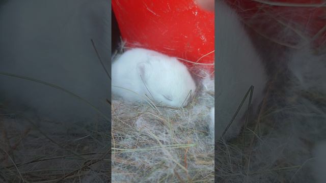 Самый спящий режим ❤️ смотреть онлайн