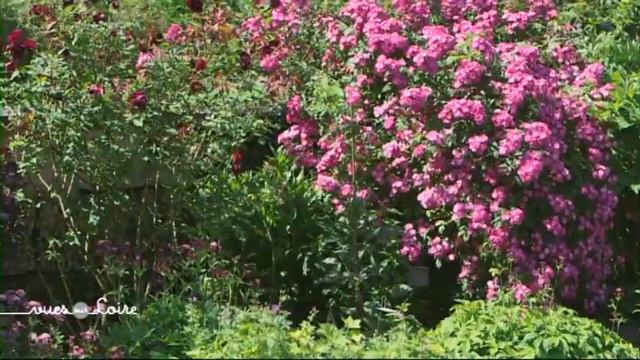 Vues sur Loire : Dans le jardin de la France смотреть онлайн