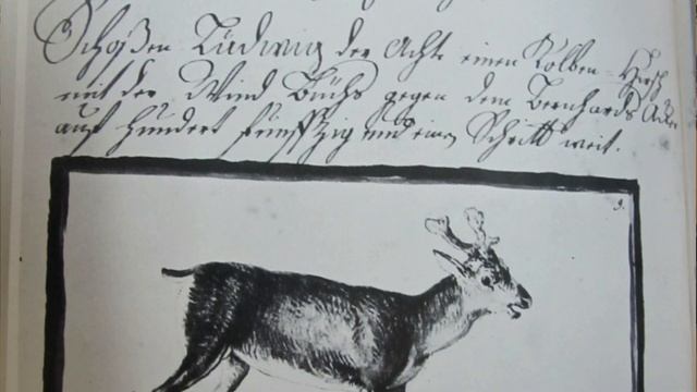 Онлайн с хранителем: воздушка - не игрушка! смотреть онлайн