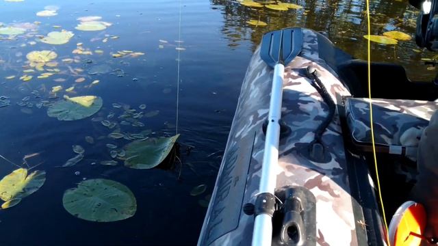 Рыба По Соседству