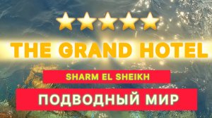 🇾🇪 ШАРМ / ПОДВОДНЫЙ МИР / THE GRAND HOTEL SHARM EL SHEIKH / Шарм эль Шейх / Хадаба