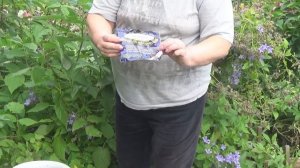 Малина осенью  Чем обработать от болезней