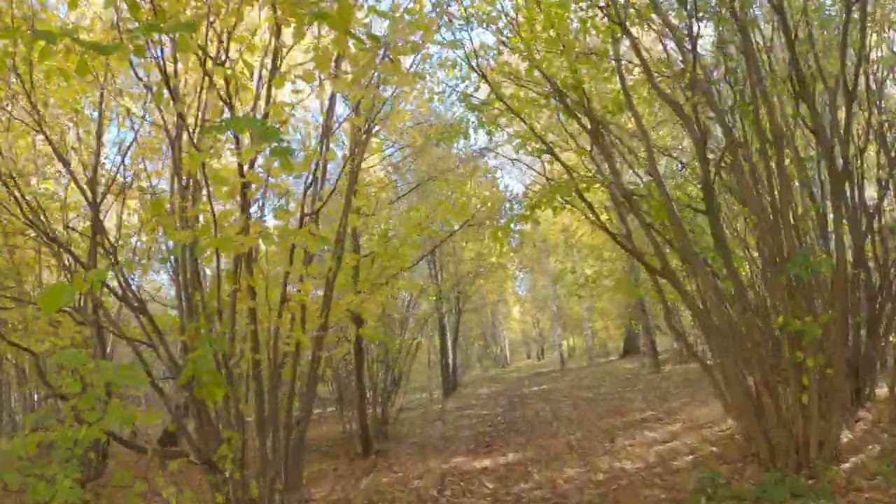 10.10.2022_4 смотреть онлайн