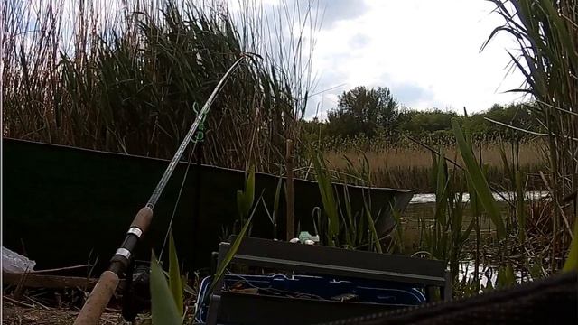 Проверяем клев.Рыбалка смотреть онлайн