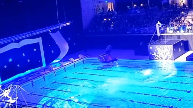 Дворец водных видов спорта в Екатеринбурге. смотреть онлайн