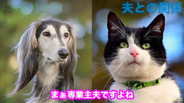 夫との関係 смотреть онлайн