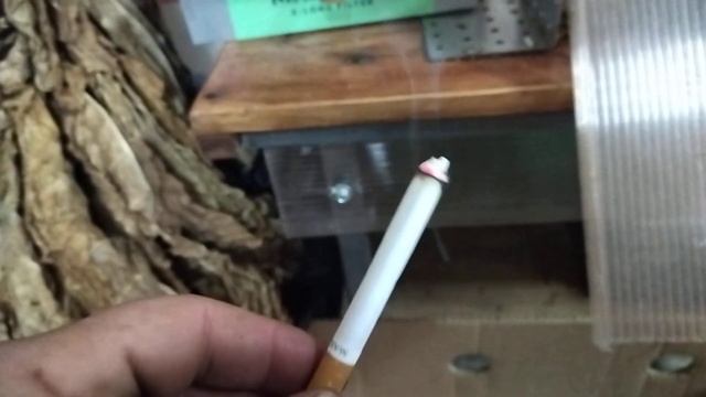 СОРТ ТАБАКА ТУРЕЦКИЙ/ПОЛНЫЙ РАСКЛАД ПО СОРТУ+ДЕГУСТАЦИЯ смотреть онлайн