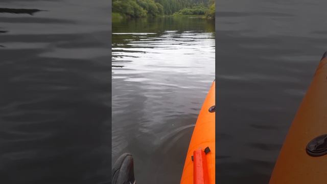 Сплав, день 1 смотреть онлайн