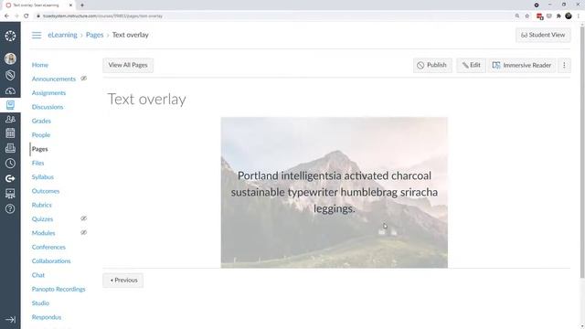 Text Overlay in Canvas смотреть онлайн