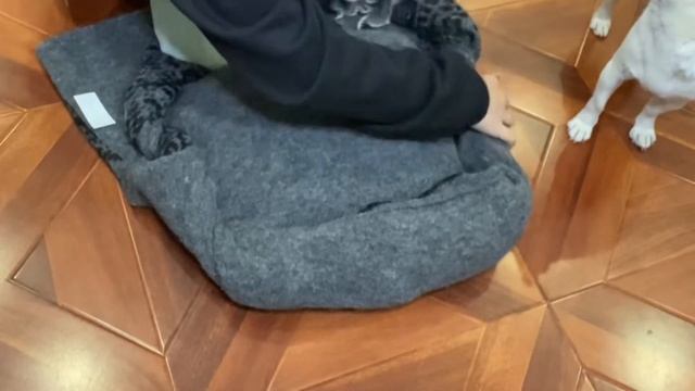 Лежанка для собак БЕЗ ШИТЬЯ своими руками смотреть онлайн