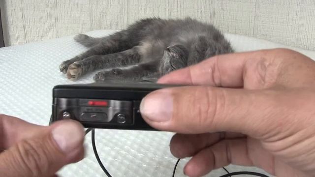 Sony WM-F707 Walkman Part Two of Two смотреть онлайн