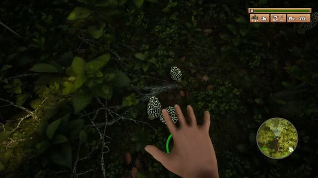 Morels: The Hunt Gameplay - Lets Play - Commentary, Thoughts and Impressions - Indie Game - Part 3 смотреть онлайн