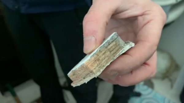 Катер за миллион Bayliner 2452 БАБАЙ