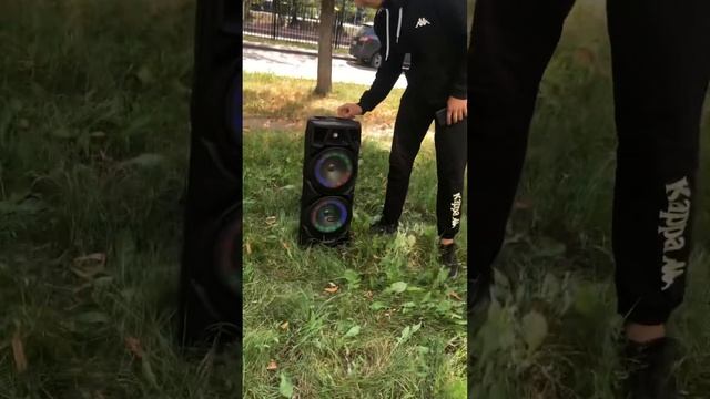 Бюджетная колонка спикер 8210 смотреть онлайн