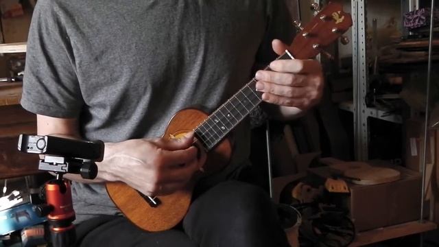 Демо-запись укулеле сопрано смотреть онлайн