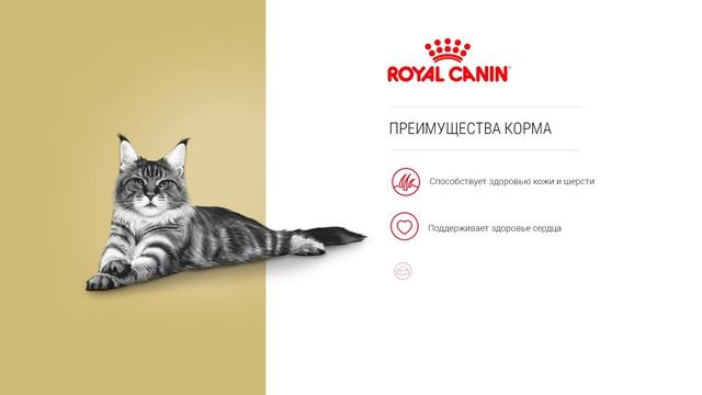 Royal Canin Maine Coon корм для кошек породы мейн-кун смотреть онлайн