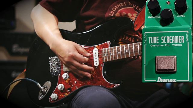 TS808 un gran pedal que todo Guitarrista debe escuchar смотреть онлайн