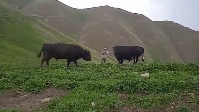 22 декабря 2023 г. смотреть онлайн