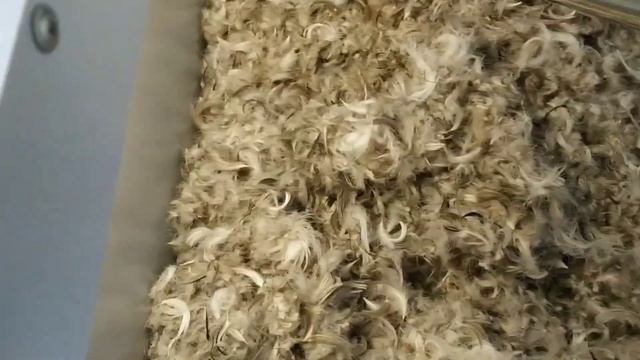 люди начните чистить подушки. чистка реставрации подушек перьевых. смотреть онлайн