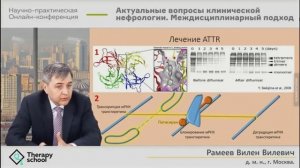 Амилоидоз почек. Рамеев Вилен Вилевич, д.м.н., профессор