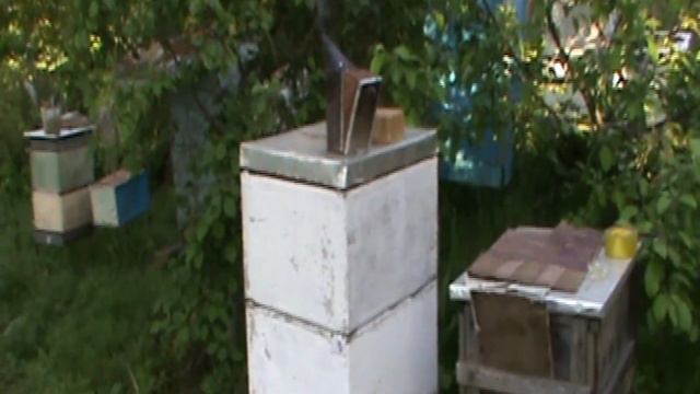 Азбука пчеловодства | Современное пчеловодство | Инвентарь и защитная одежда пчеловода | 626/39/ смотреть онлайн