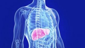 Что будет с Вашим телом, если есть ТЫКВЕННЫЕ СЕМЕЧКИ каждый день???