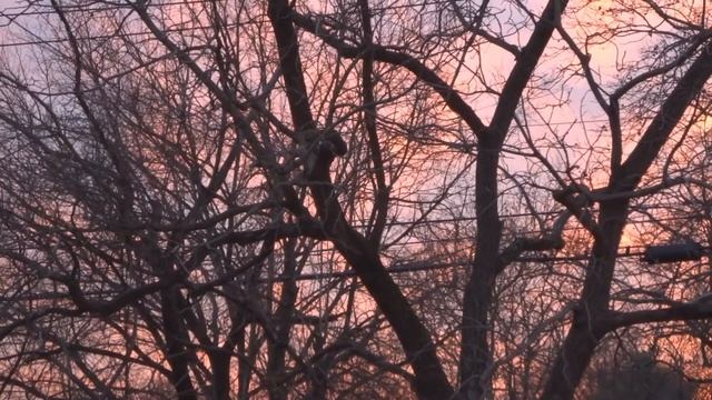 "RED SKY" (Sony Movie Studio 13, edit and volume test)(Sony wx350 mp4 video) смотреть онлайн