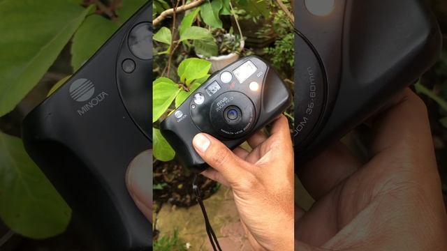 Minolta Riva ZOOM Pico смотреть онлайн