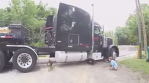 Как я загоняю малыша во двор. Посылка с номером от подписчика