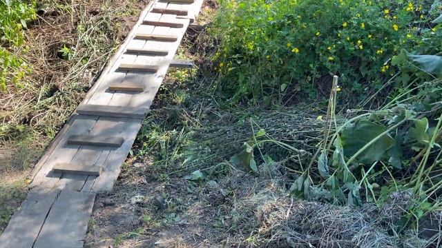 Посёлок ЦРМ Чунского района/ Чунский/ Октябрьский ! Рассказывает Алексей Плотников!